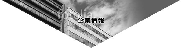 企業情報