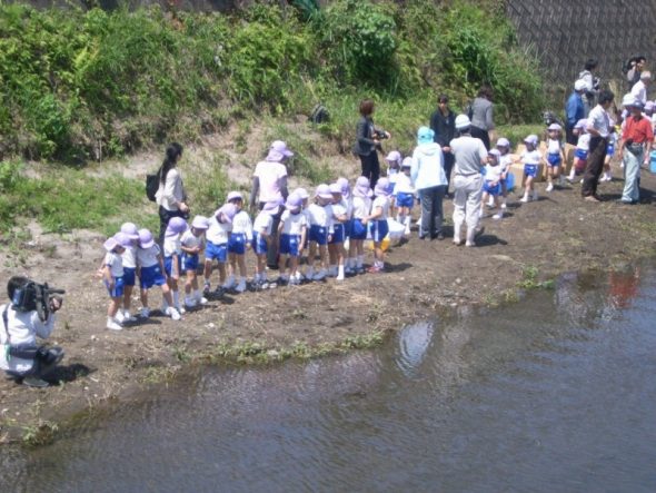 新川で稚魚の放流活動